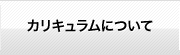 カリキュラムについて